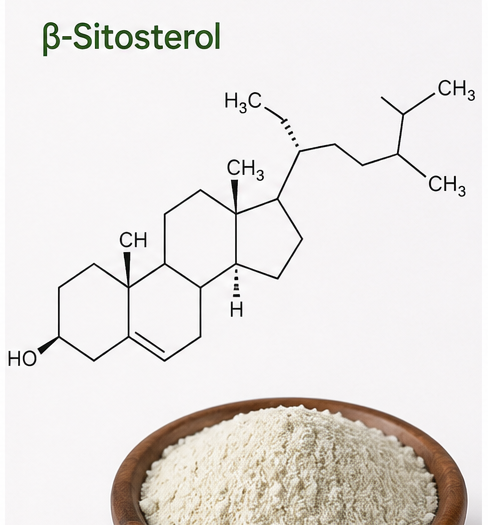 Beta-sitosterol bitkisel sterol içeriği